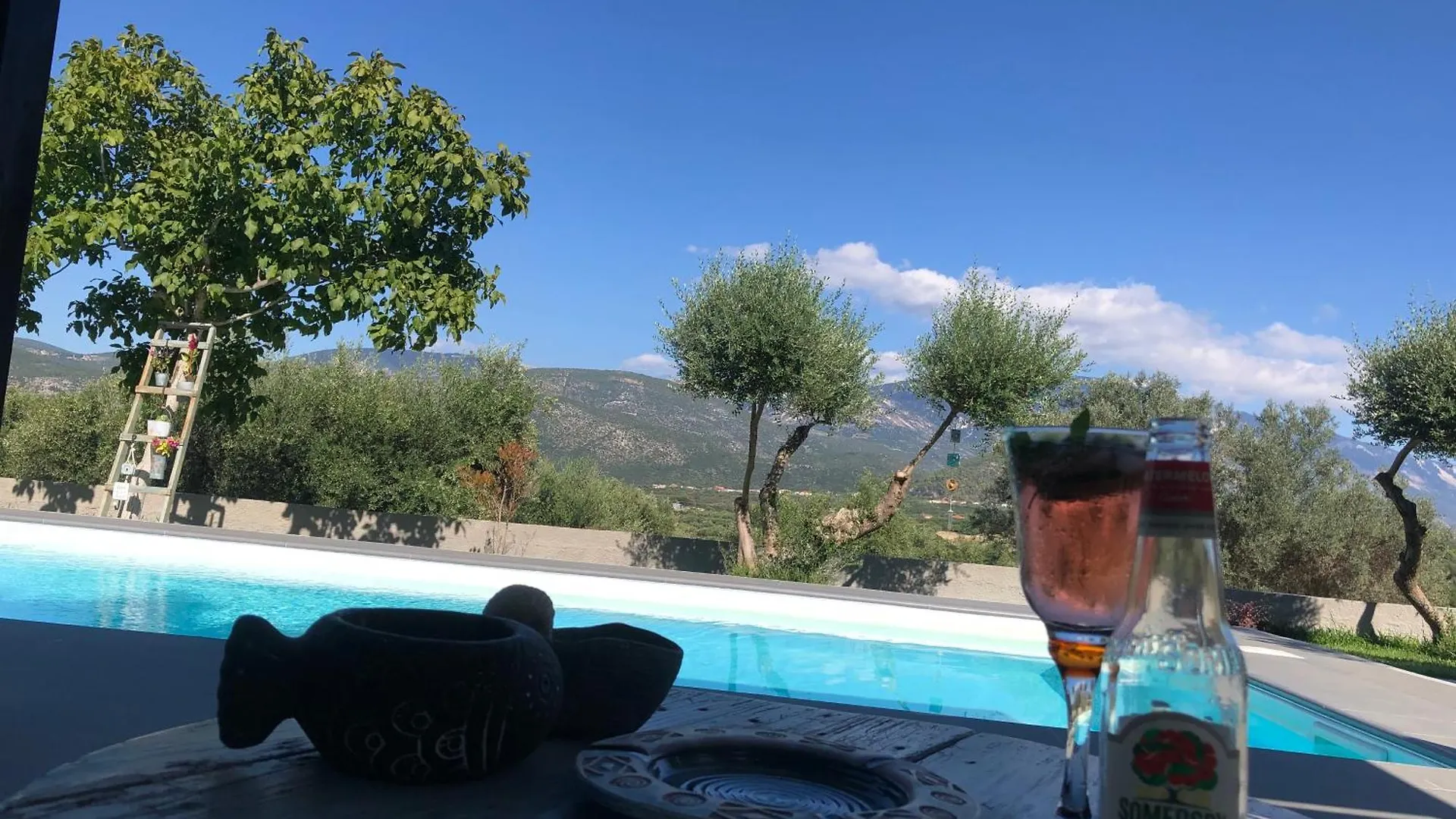 Penelope Dream Pool Villa Minia